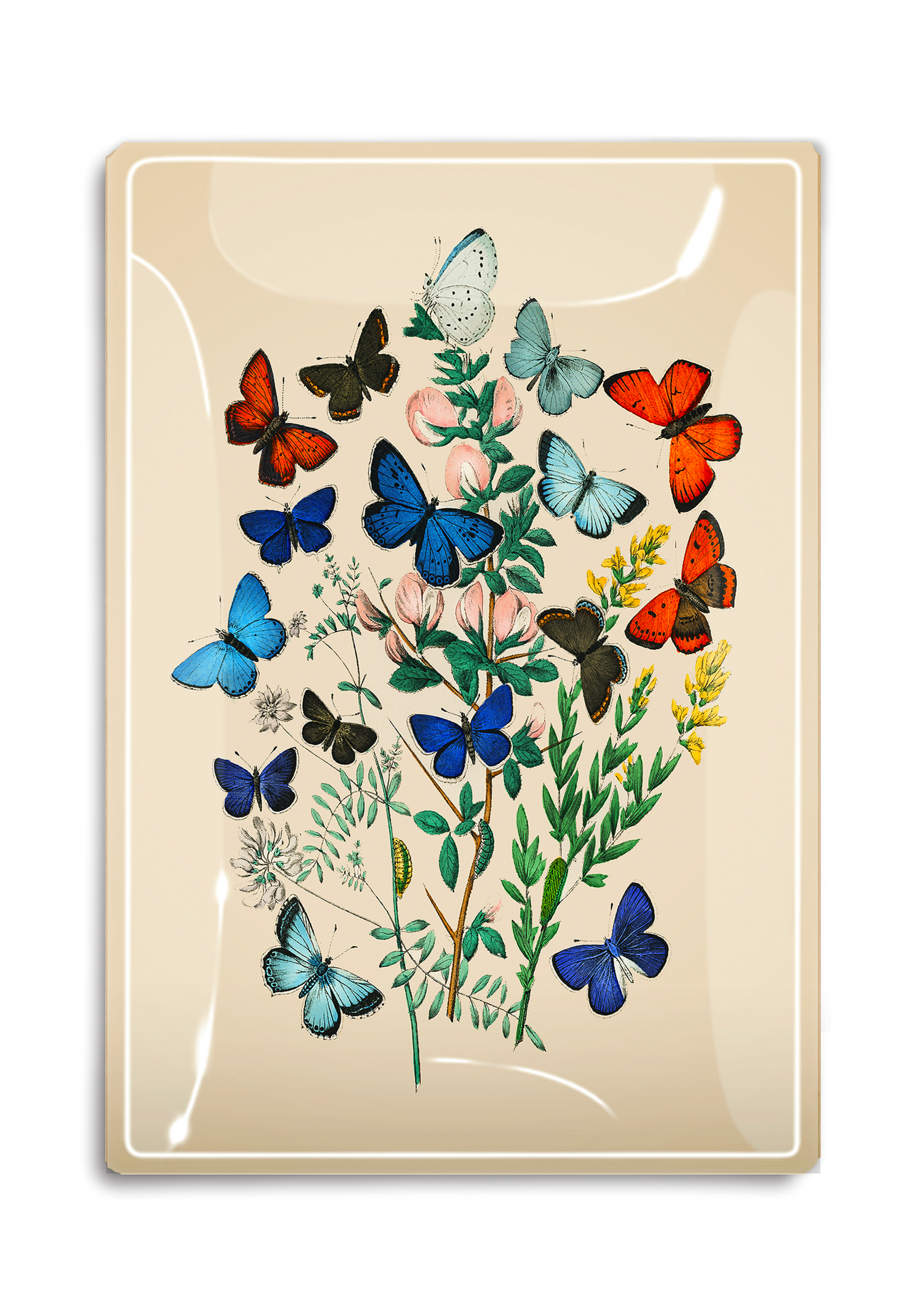 Garden Fluttering Butterflies Decoupage Glass Tray