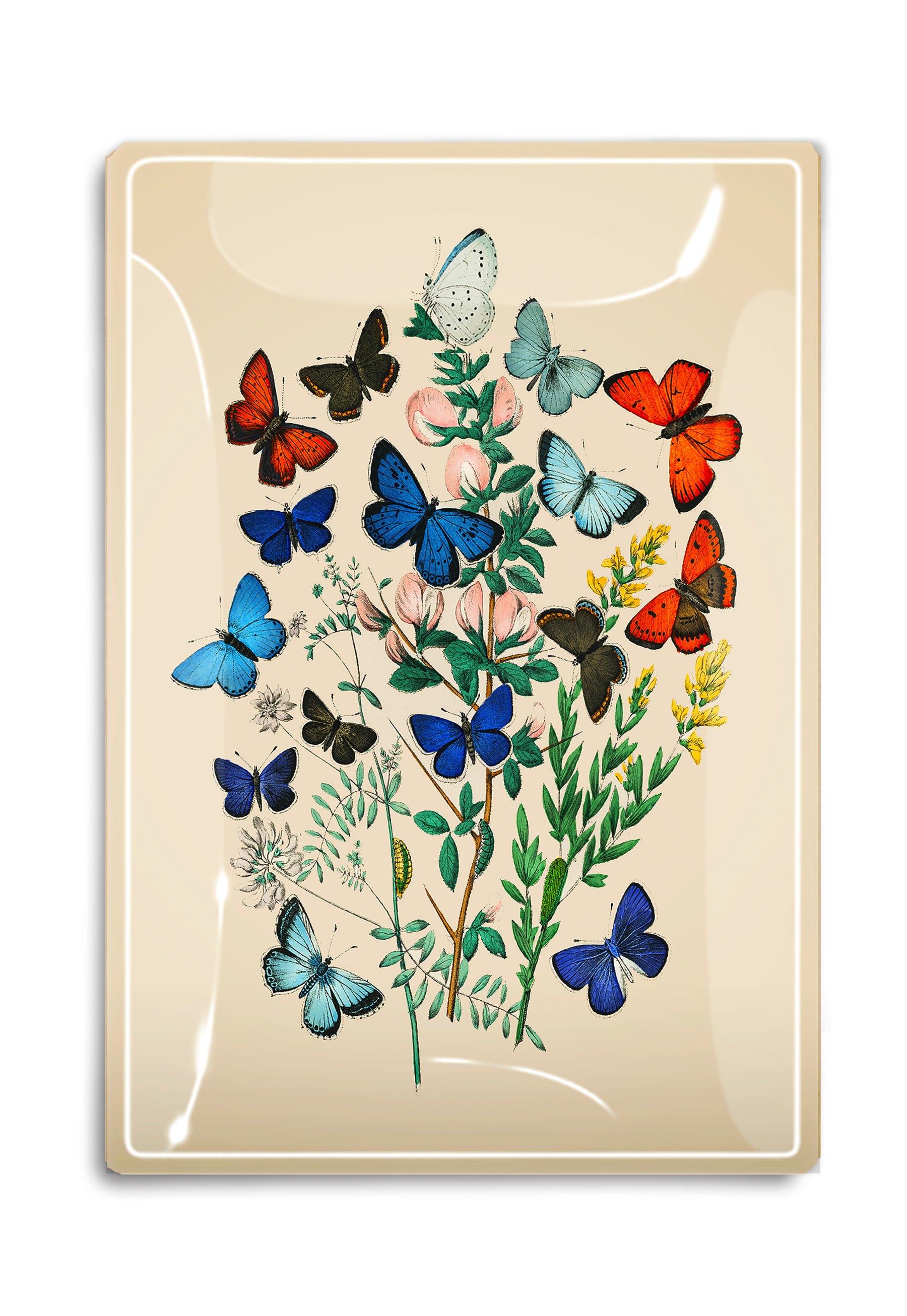 Garden Fluttering Butterflies Decoupage Glass Tray