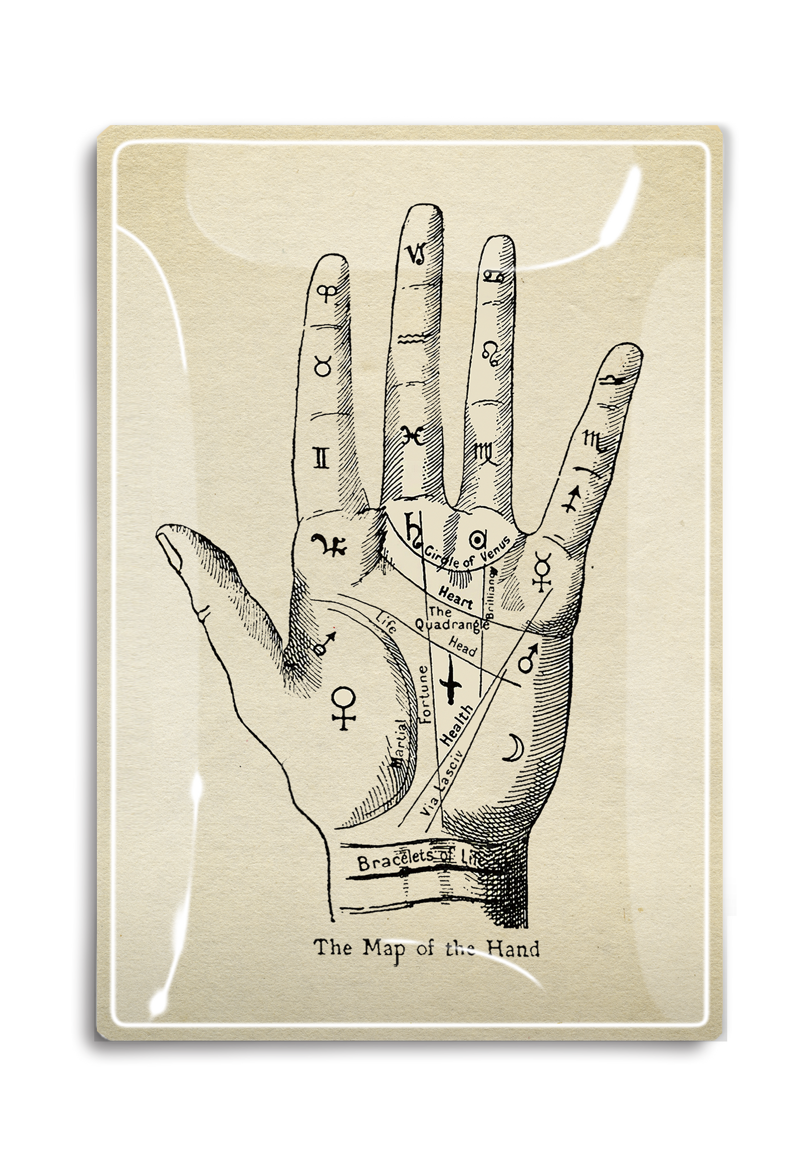 The Map of the Hand Vintage Print Decoupage Tray