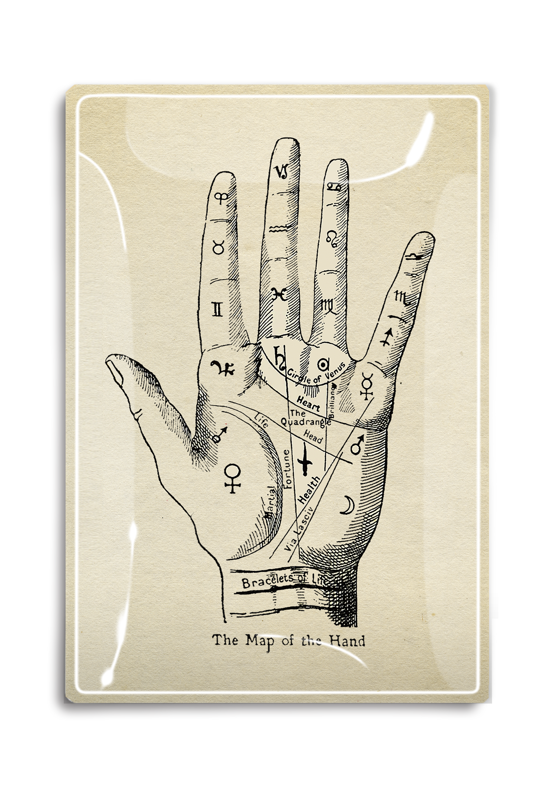 The Map of the Hand Vintage Print Decoupage Tray