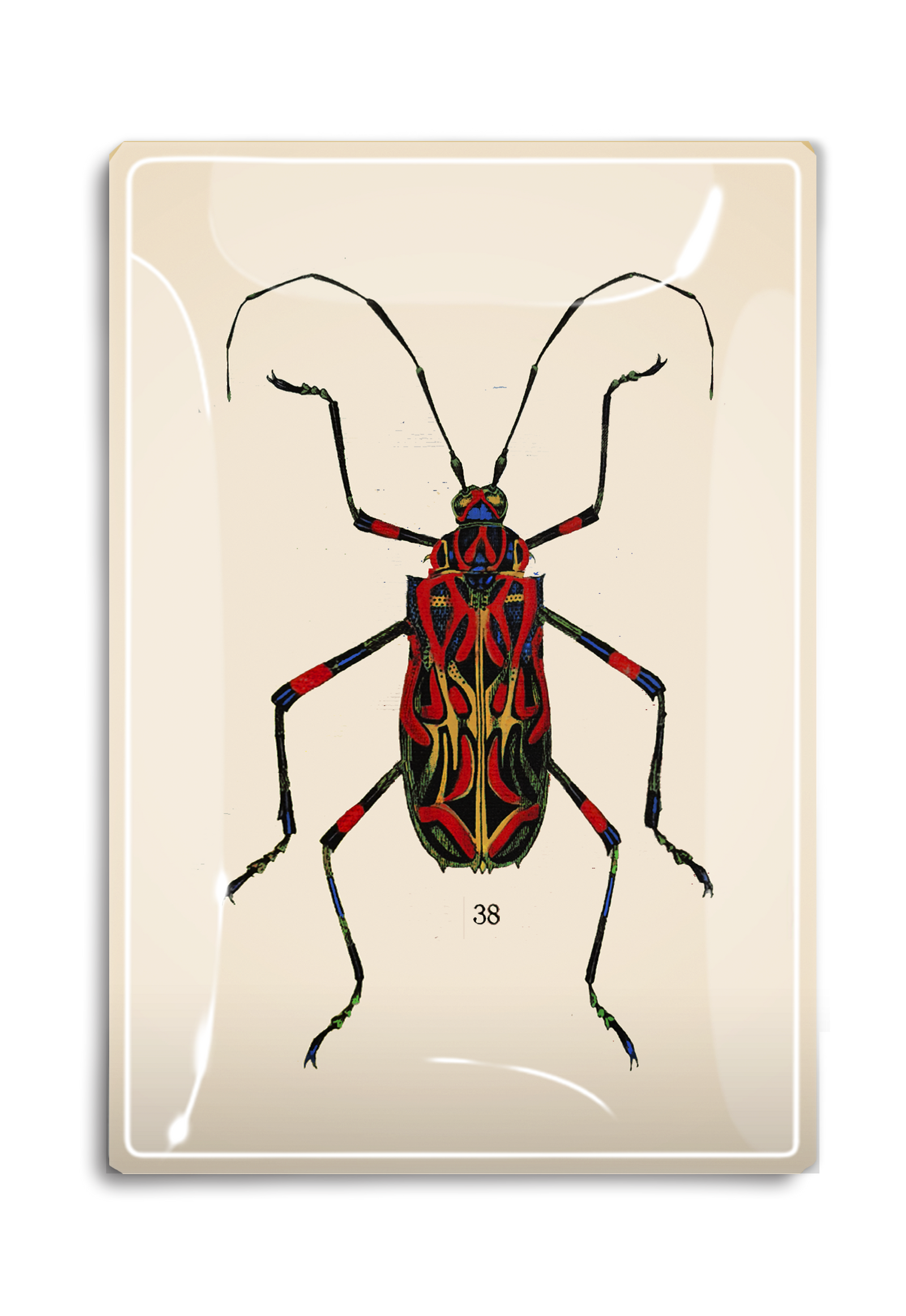 Geometric Red Tropical Bug Decoupage Glass Tray