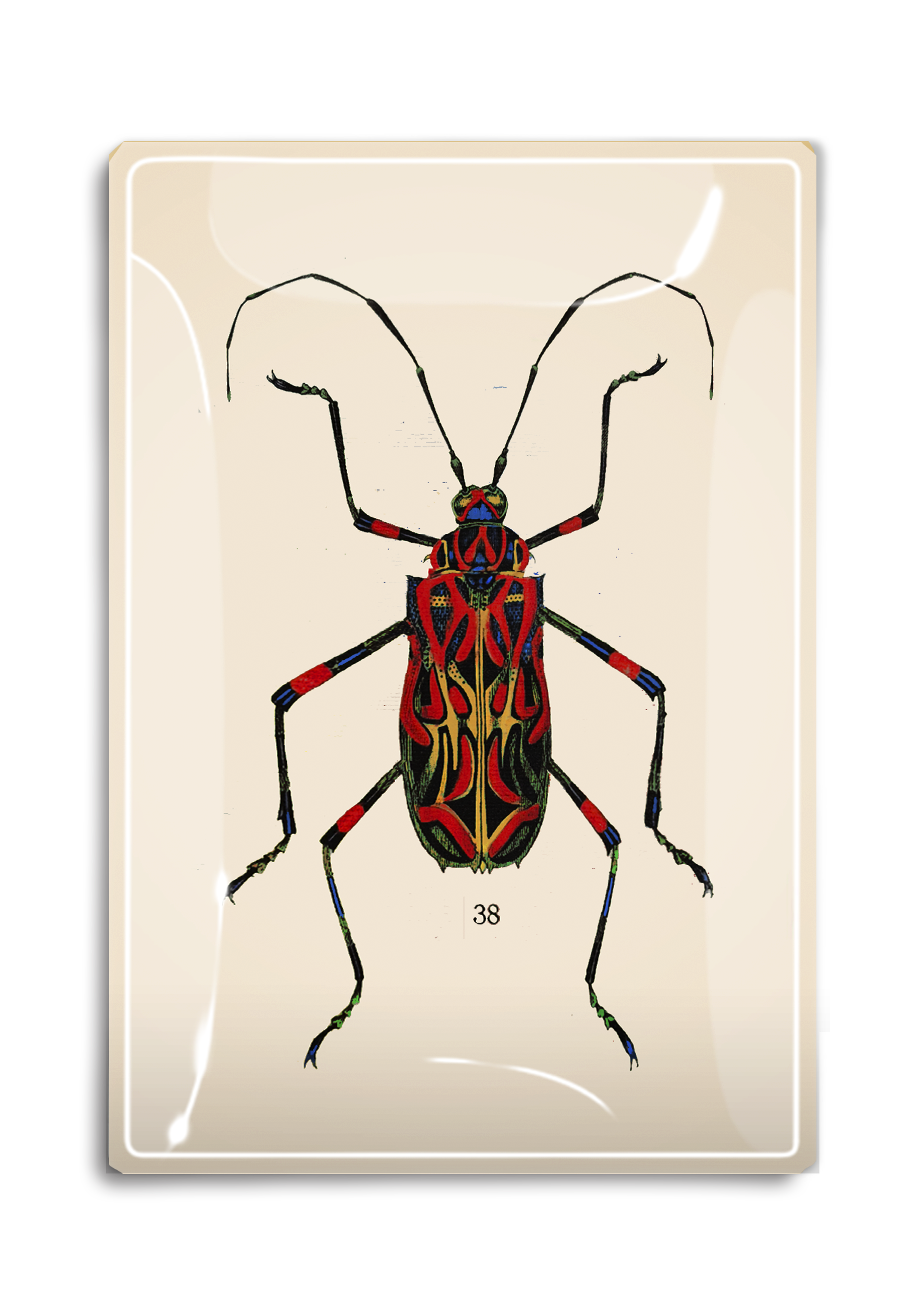 Geometric Red Tropical Bug Decoupage Glass Tray