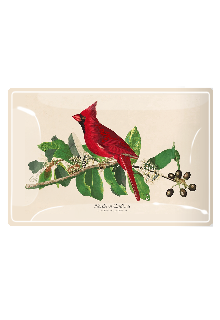 American Cardinal Decoupage Glass Tray