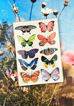 Wildflower Butterflies Decoupage Glass Tray