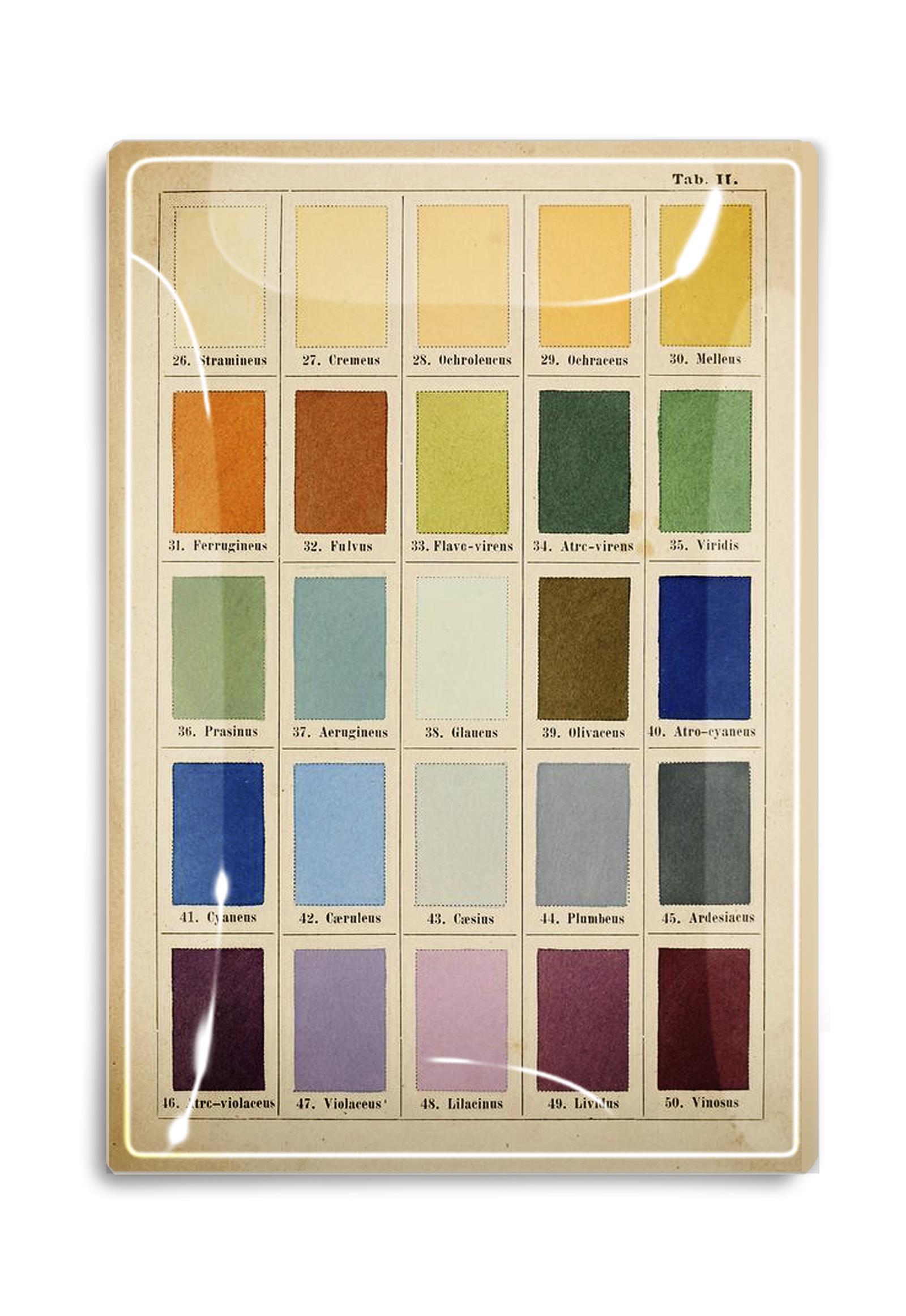 1890's Painter's Palette Decoupage Glass Tray