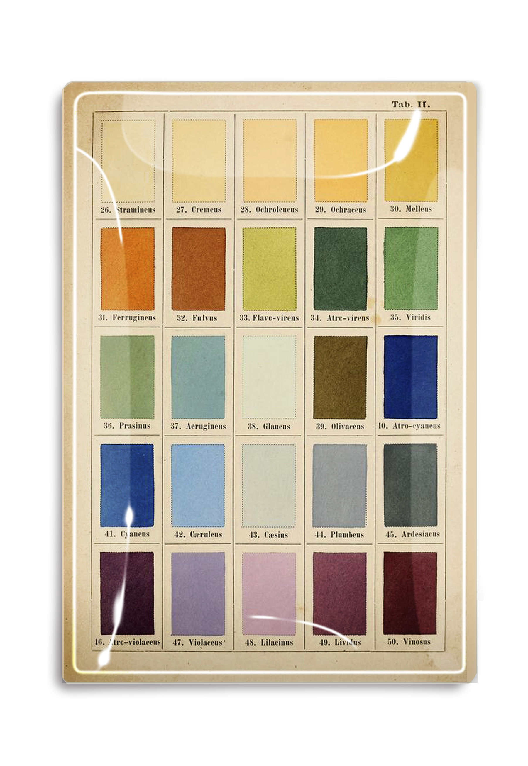 1890's Painter's Palette Decoupage Glass Tray