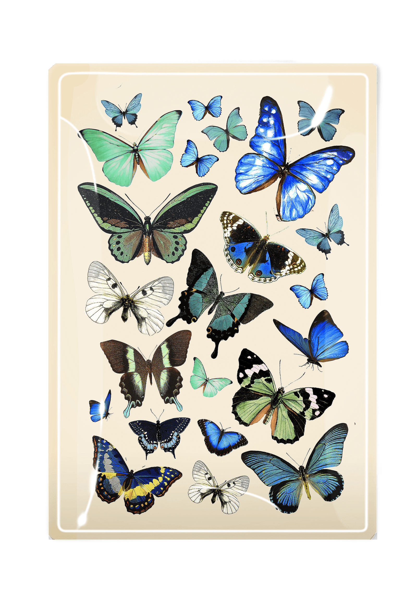 Blue Butterflies Decoupage Glass Tray