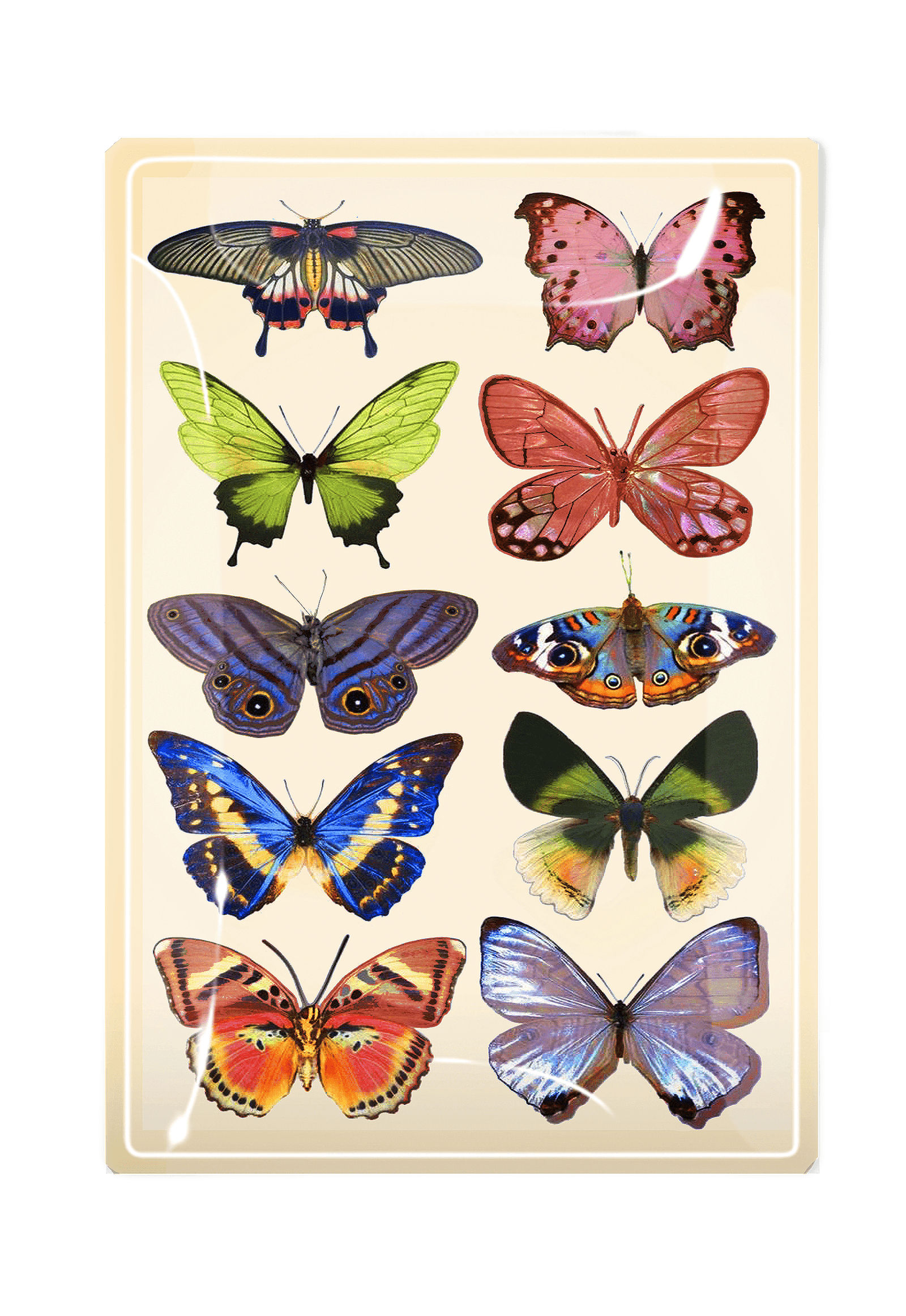 Wildflower Butterflies Decoupage Glass Tray