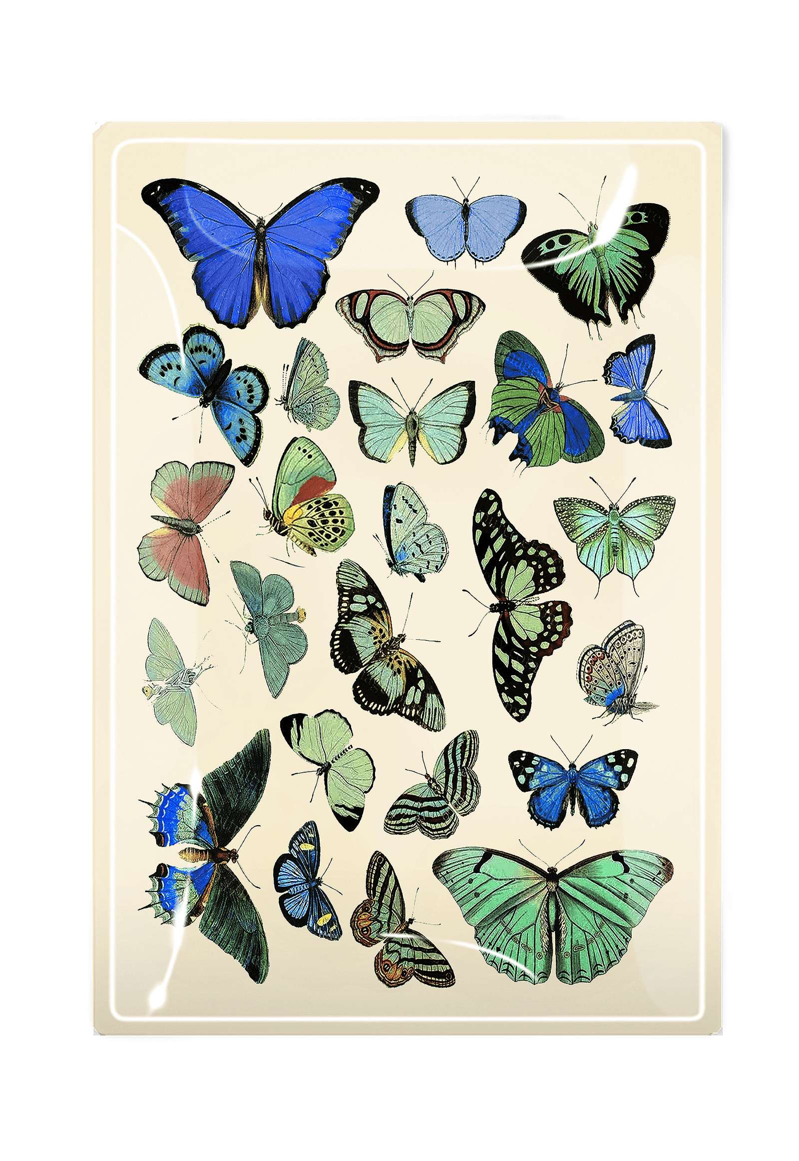 Green/ Blue Wildflower Butterflies Decoupage Glass Tray