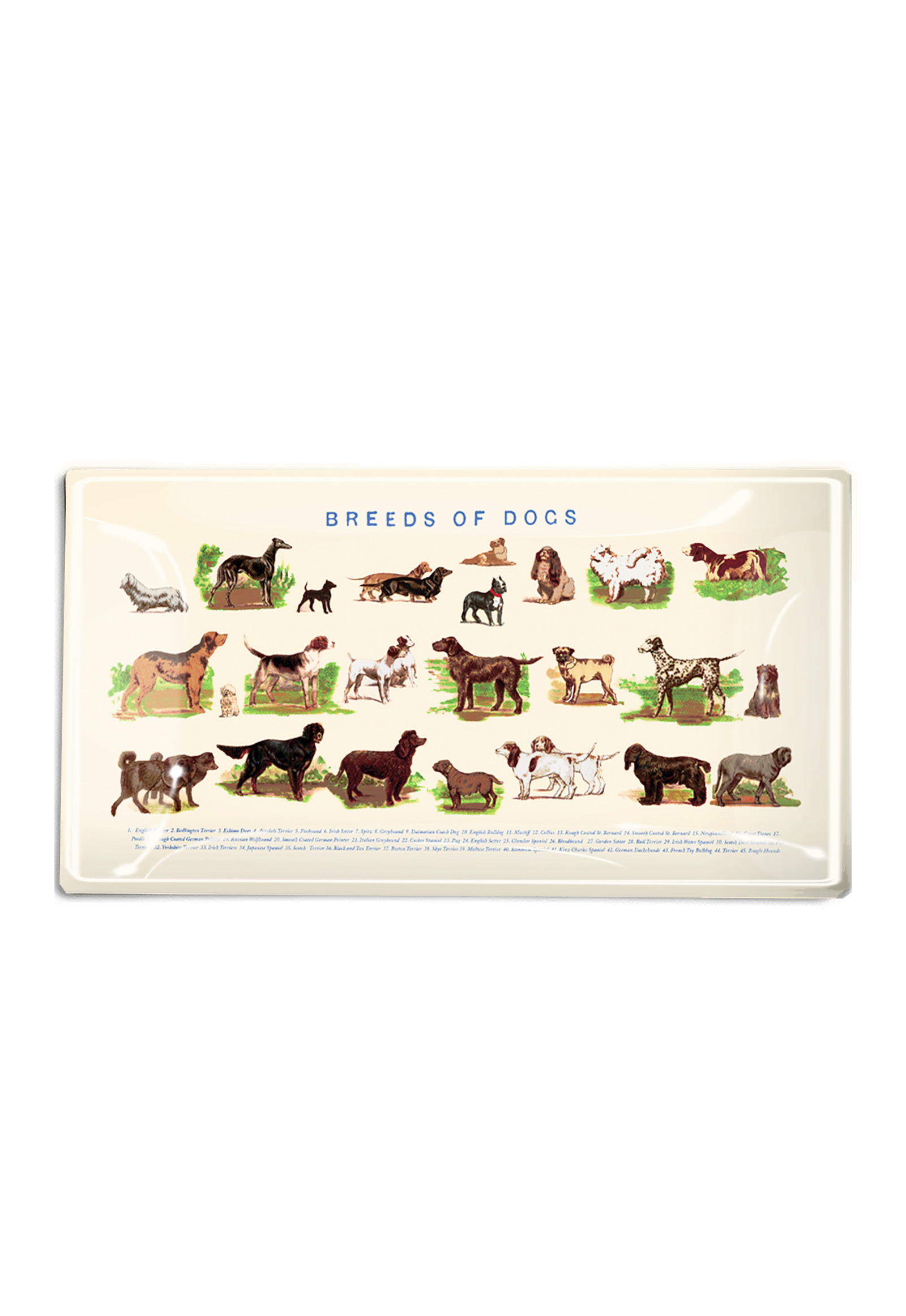 Dog Run Glass Decoupage Tray