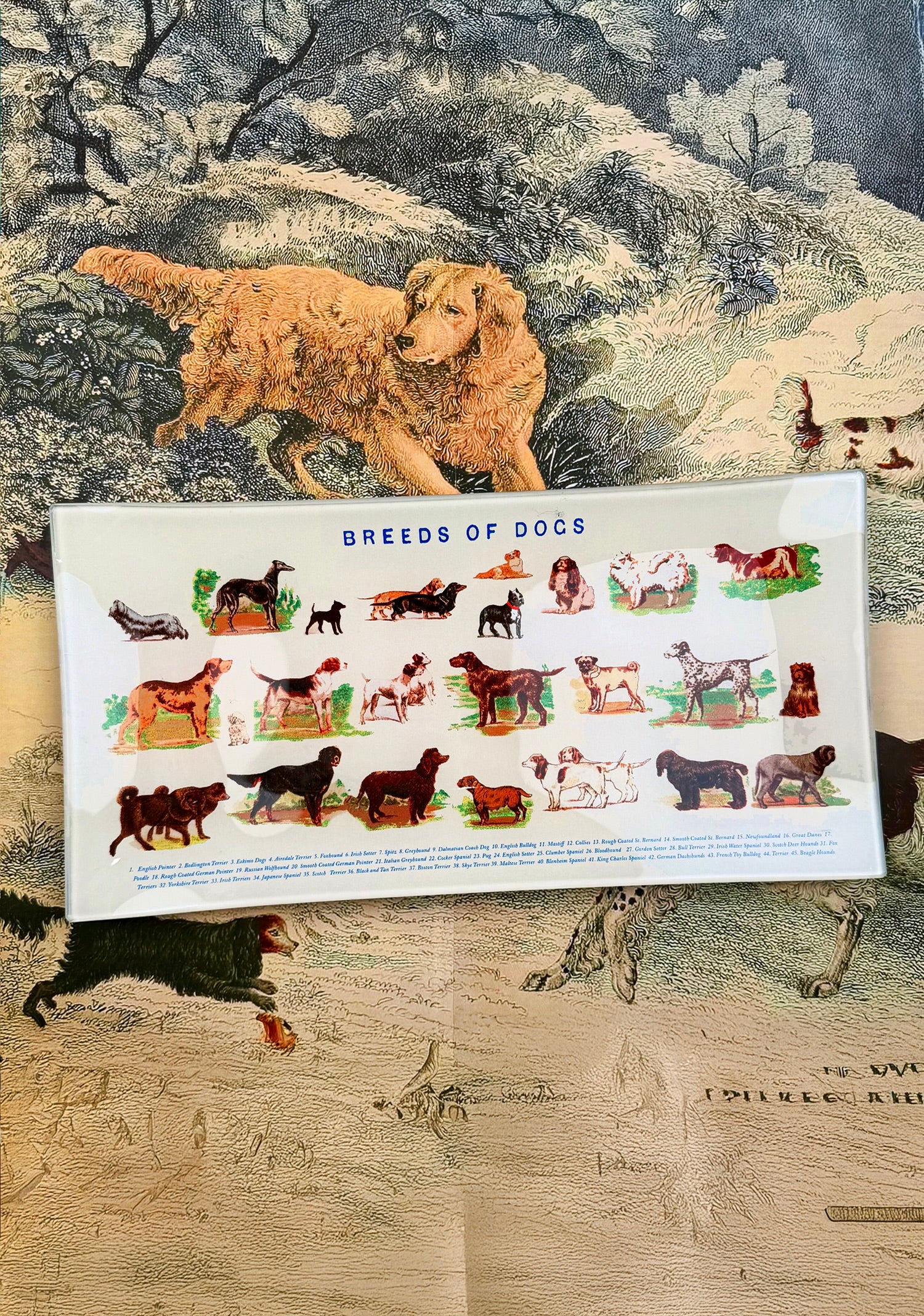 Dog Run Glass Decoupage Tray