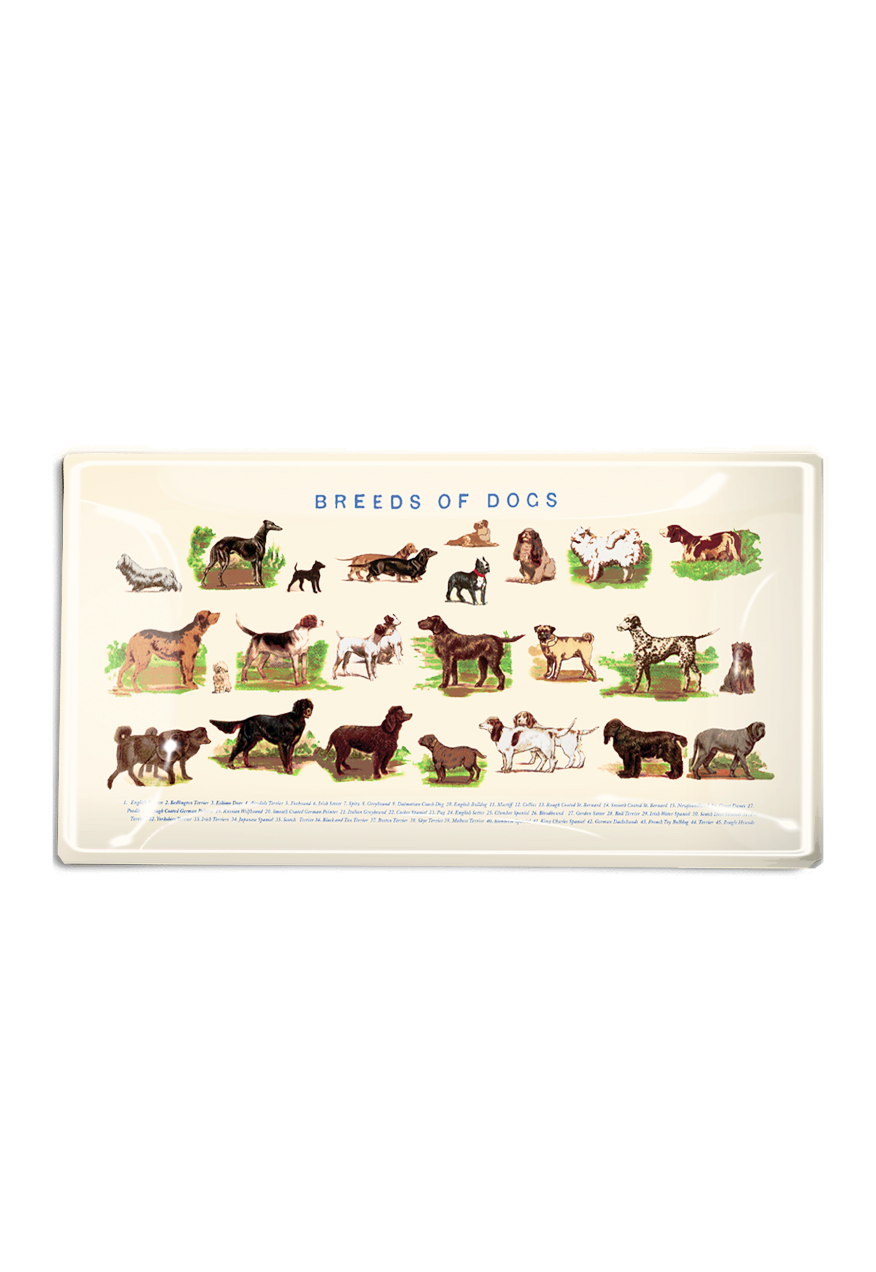Dog Run Glass Decoupage Tray