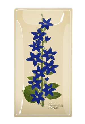 Blue Star Flower Glass Decoupage Tray