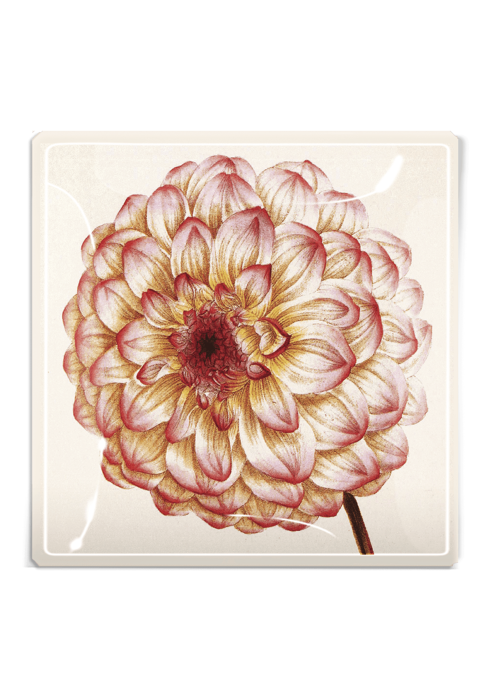 Pink Dahlia Blossom Decoupage Glass Tray