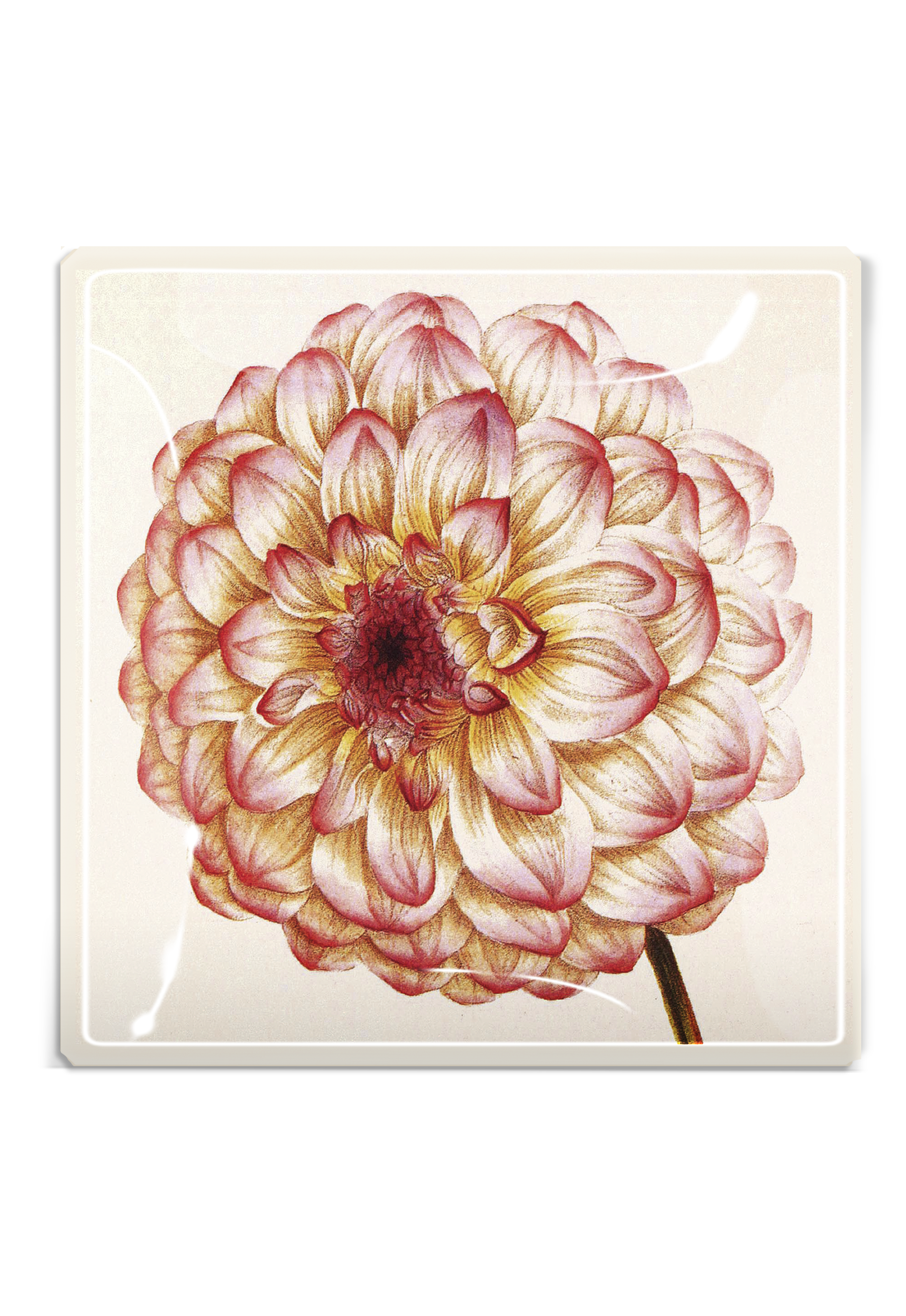 Pink Dahlia Blossom Decoupage Glass Tray