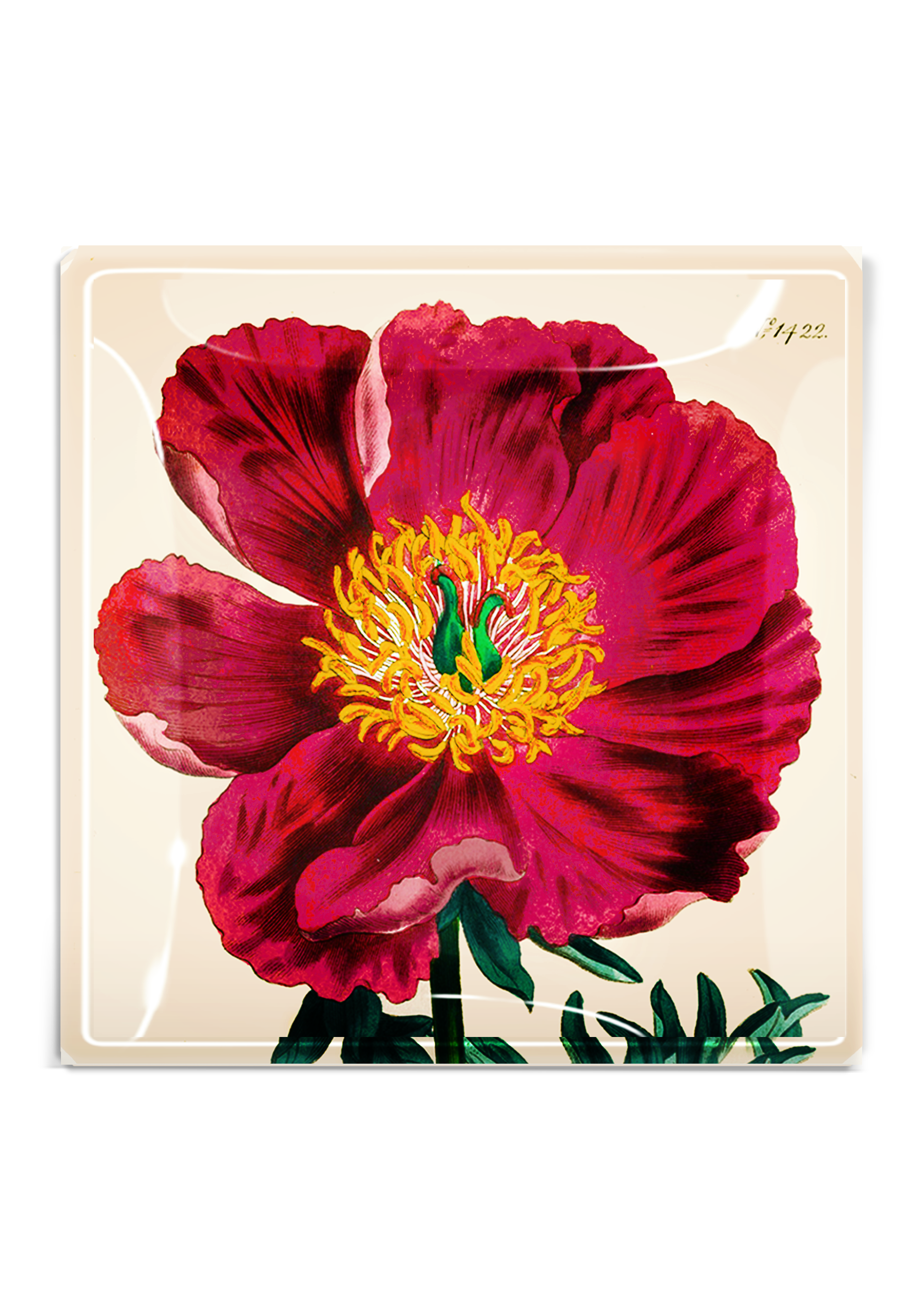 Crimson Japanese Peony Decoupage Tray