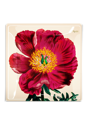 Crimson Japanese Peony Decoupage Tray