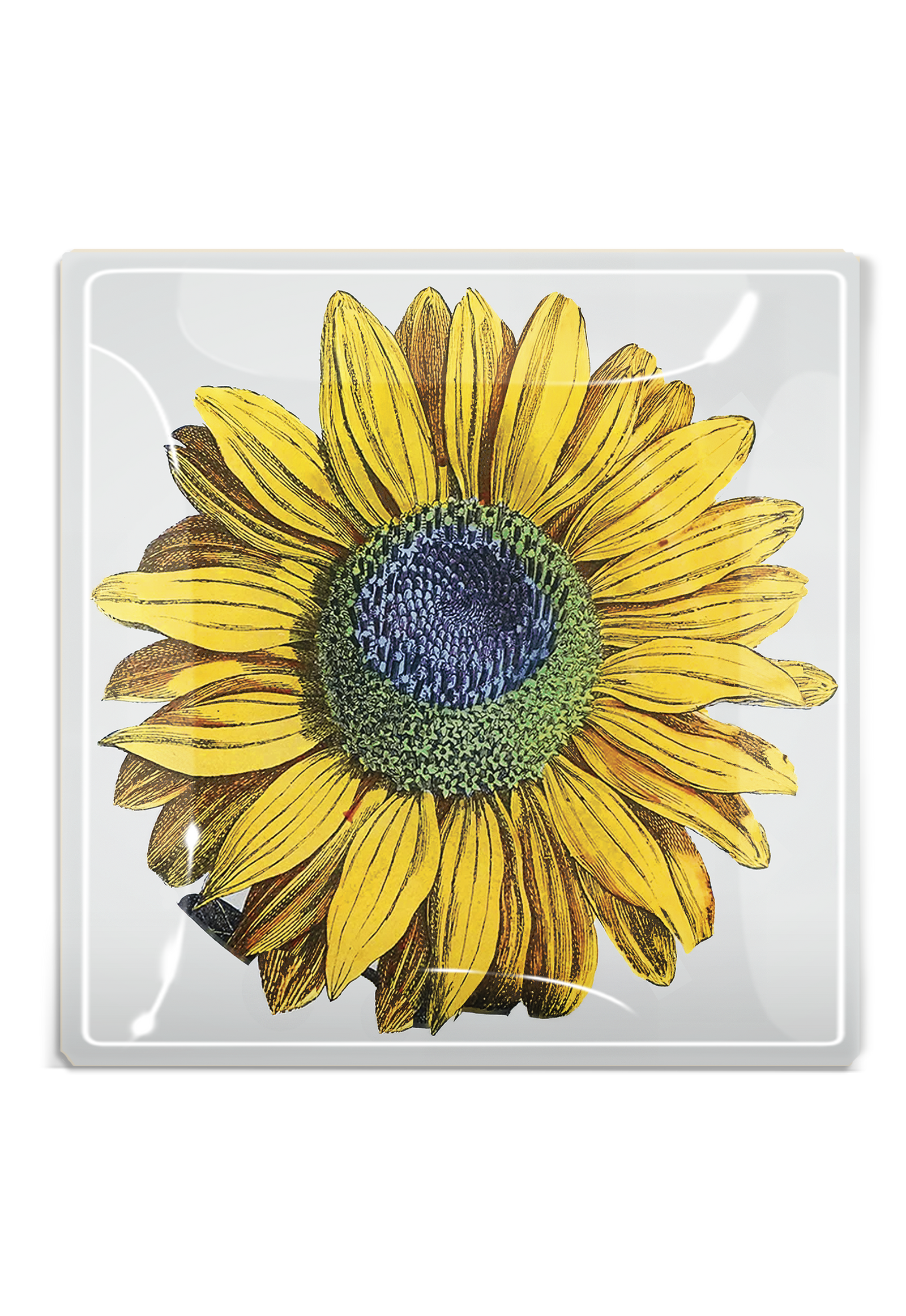 Amagansett Sunflower Glass Decoupage Tray