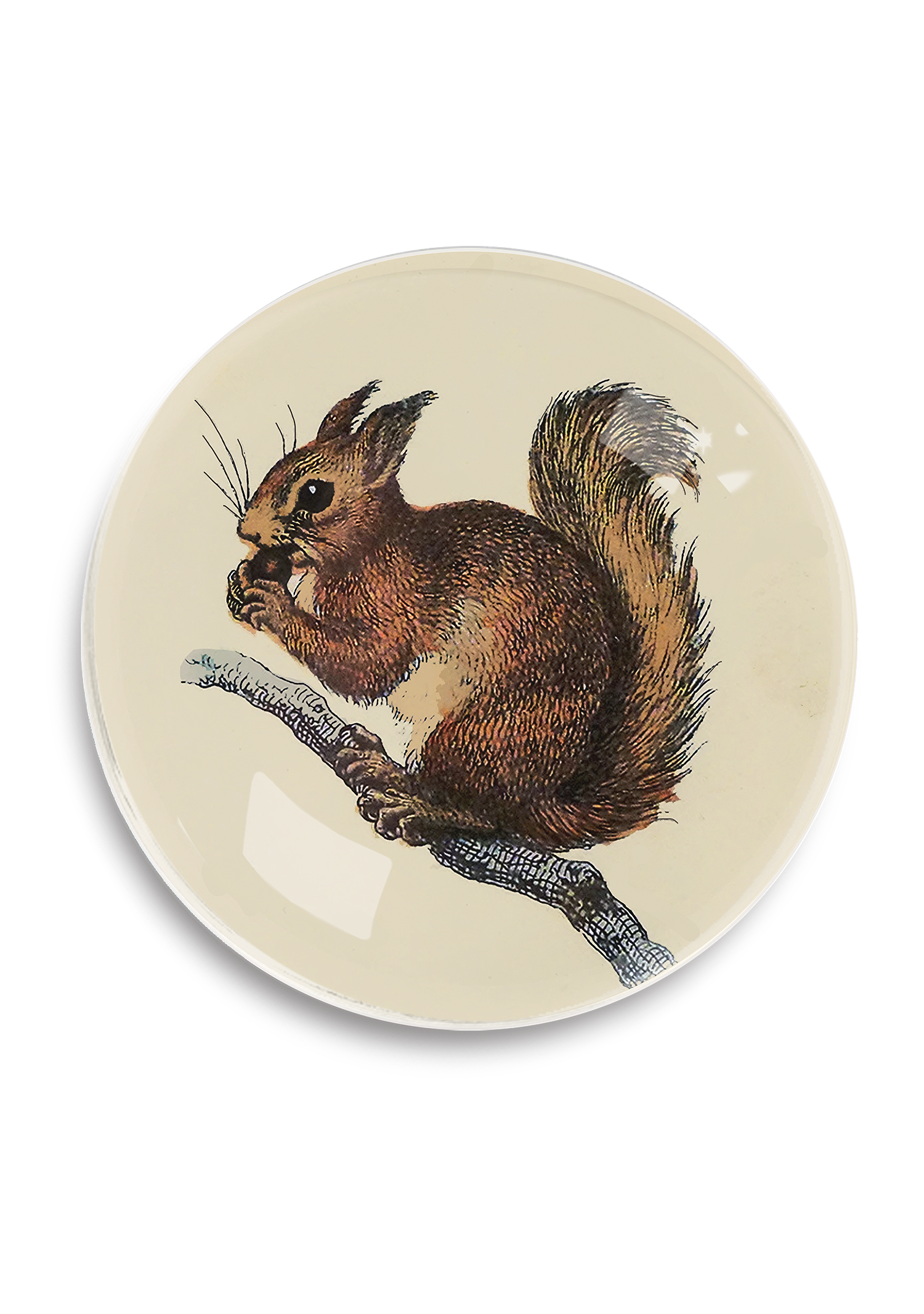 Squirrel Round Decoupage Tray