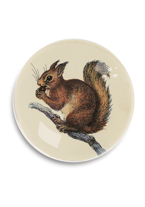 Squirrel Round Decoupage Tray