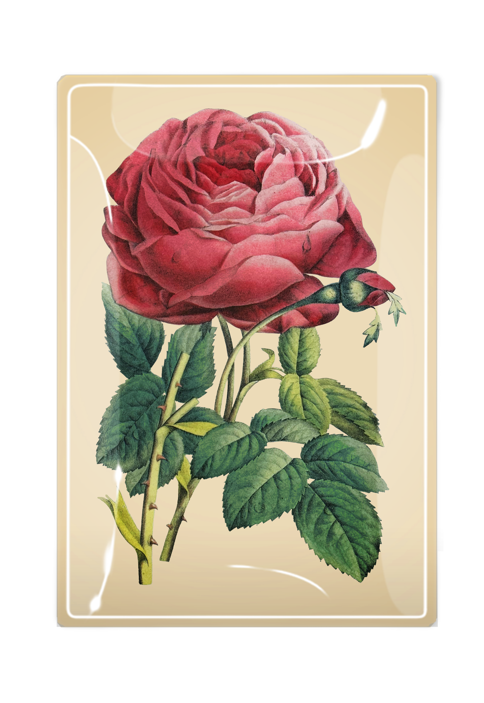 Glistening Pink Rose Decoupage Glass Tray