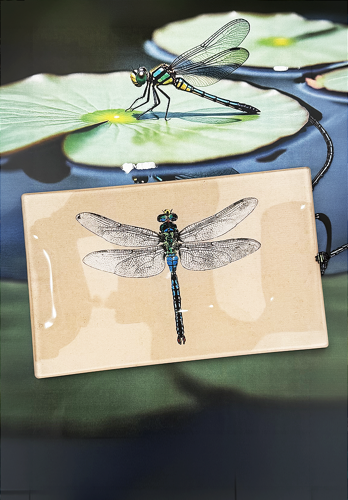 Emerald Green Crystal Dragonfly Decoupage Glass Tray
