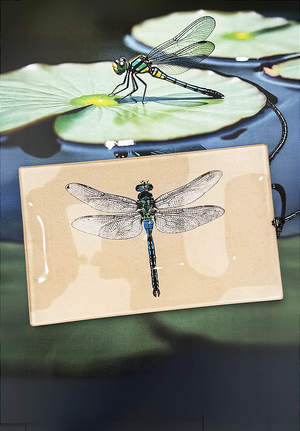 Emerald Green Crystal Dragonfly Decoupage Glass Tray