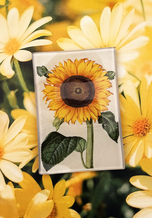 Bright Sunflower Decoupage Glass Tray