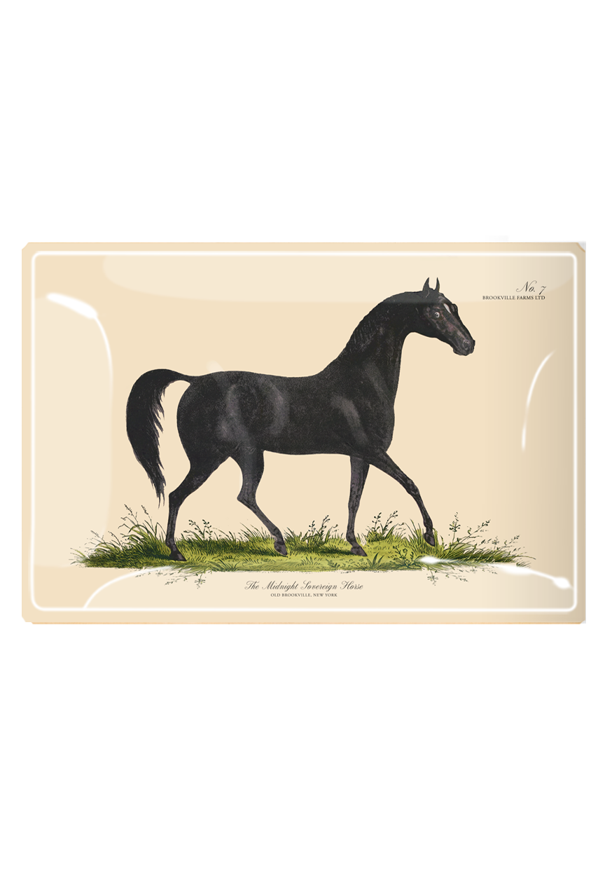 Midnight Sovereign Horse Decoupage Glass Tray