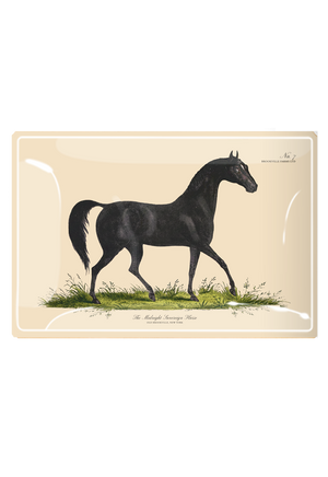Midnight Sovereign Horse Decoupage Glass Tray