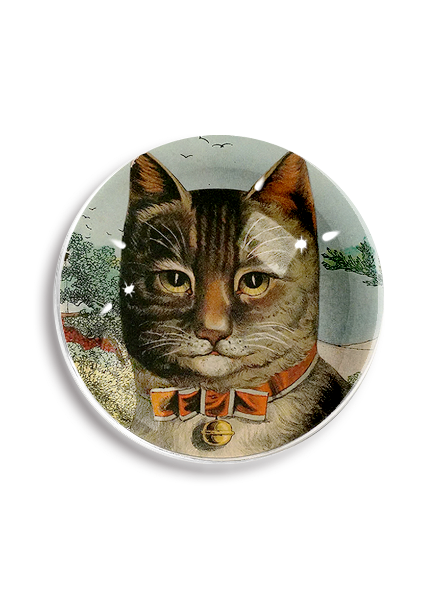 The Clever Cat Paperweight Crystal Dome Paperweight