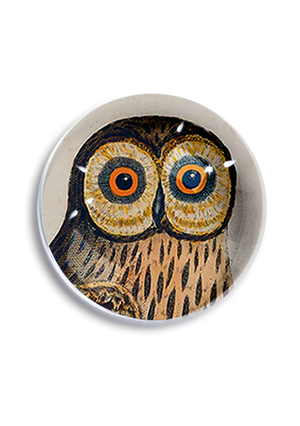 The Wide-Eyed Owl Crystal Dome Paperweight