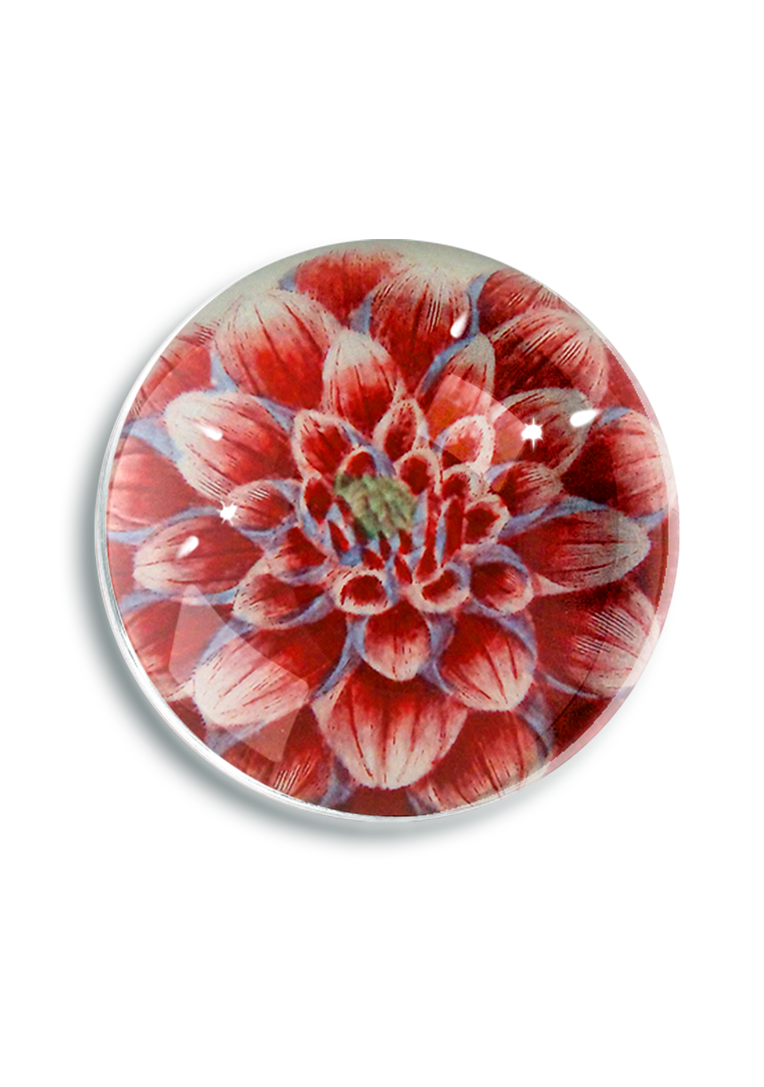 Fleurel Pink Watermelon Dahlia Crystal Dome Paperweight