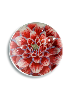 Fleurel Pink Watermelon Dahlia Crystal Dome Paperweight