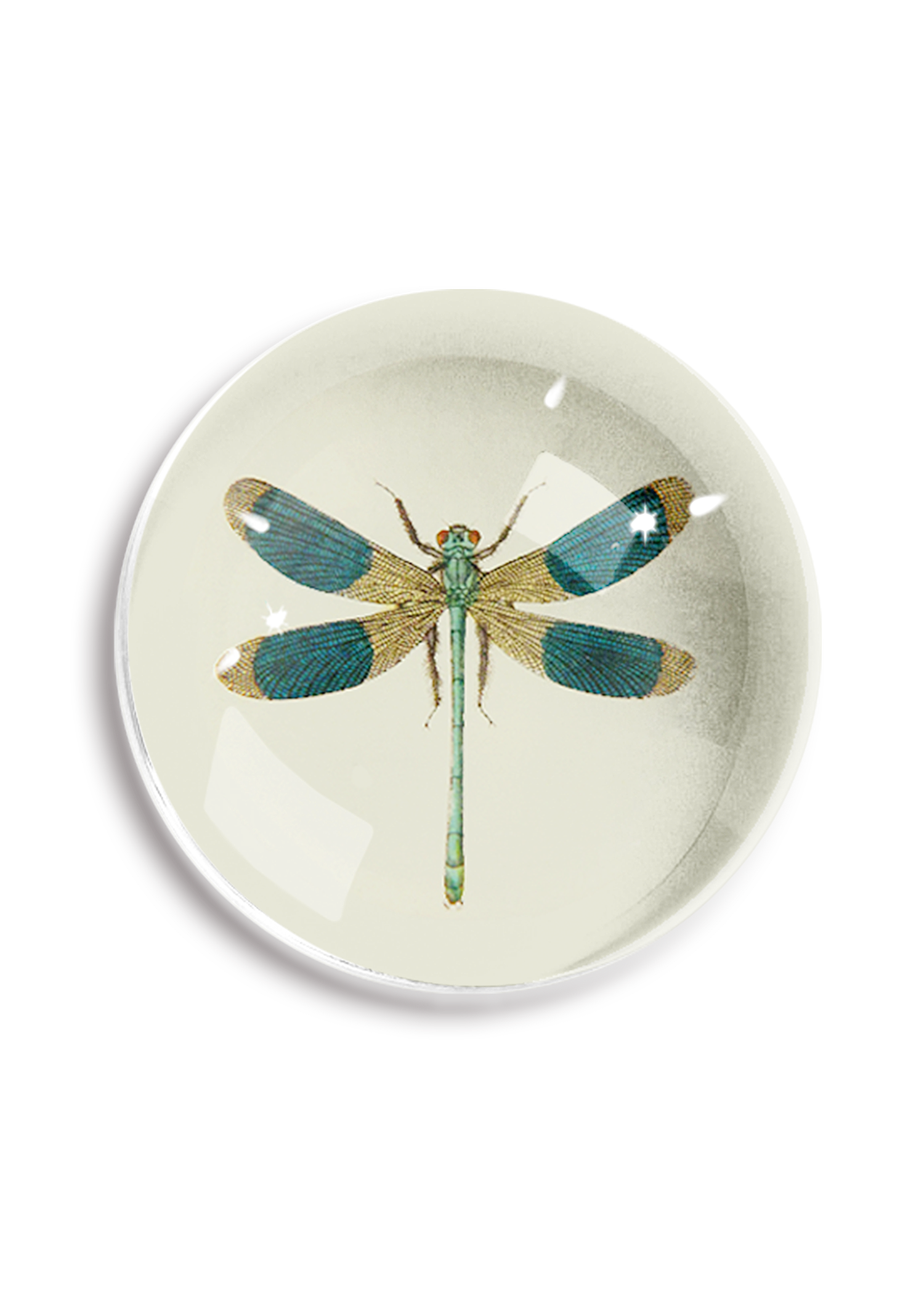 Lucky Blue Dragonfly Dome Paperweight