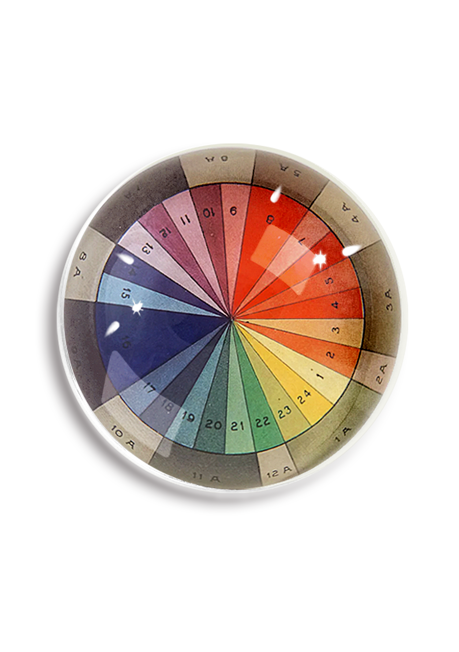 Color Spectrum Study Dome Paperweight