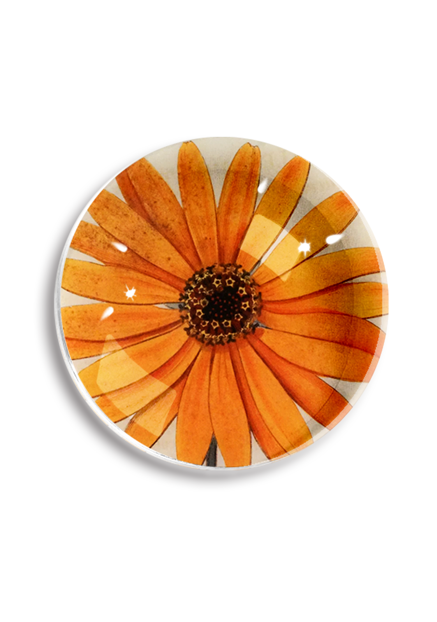 Little Sunshine Daisy Crystal Paperweight