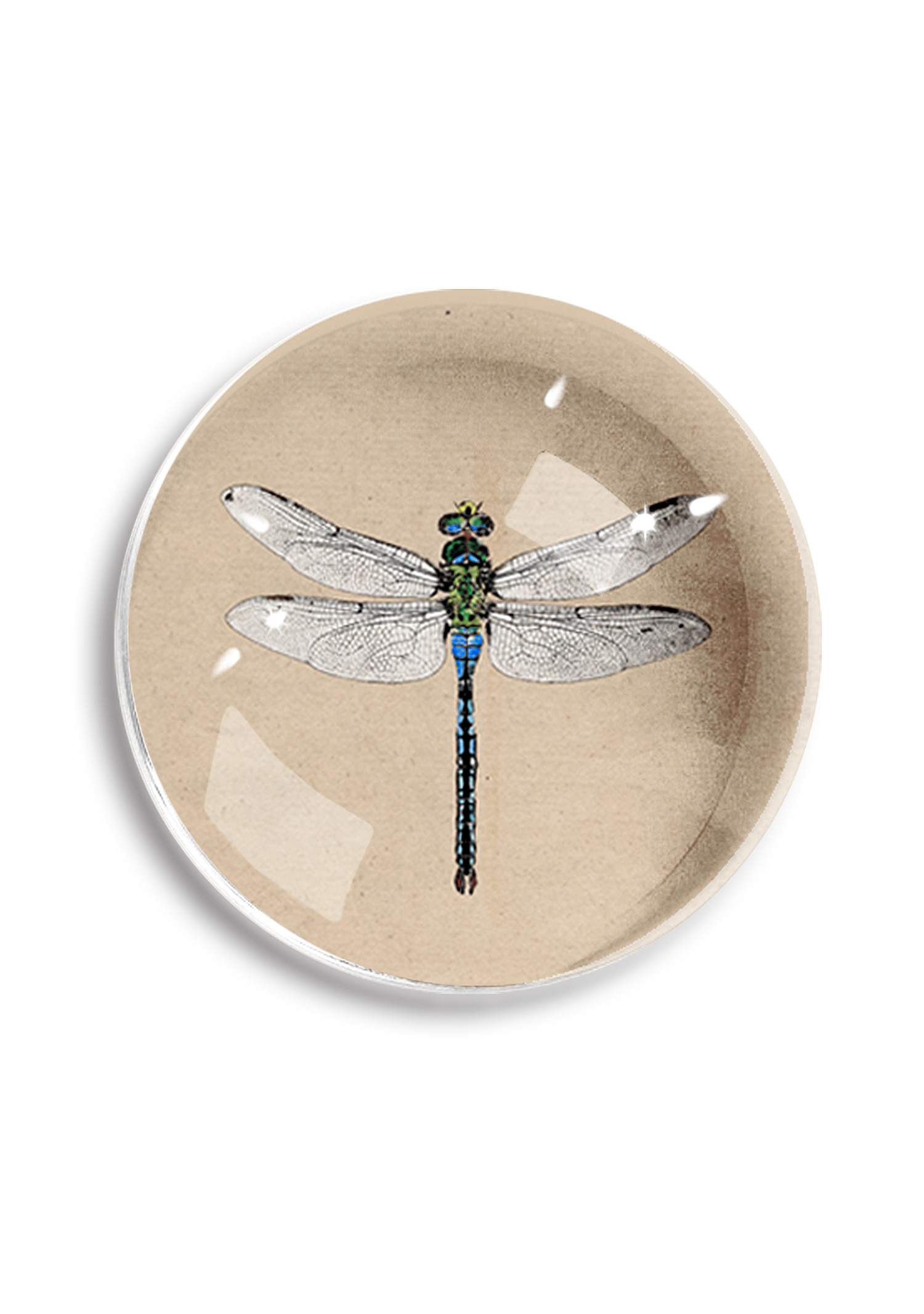 Emerald Green Crystal Dragonfly Dome Paperweight