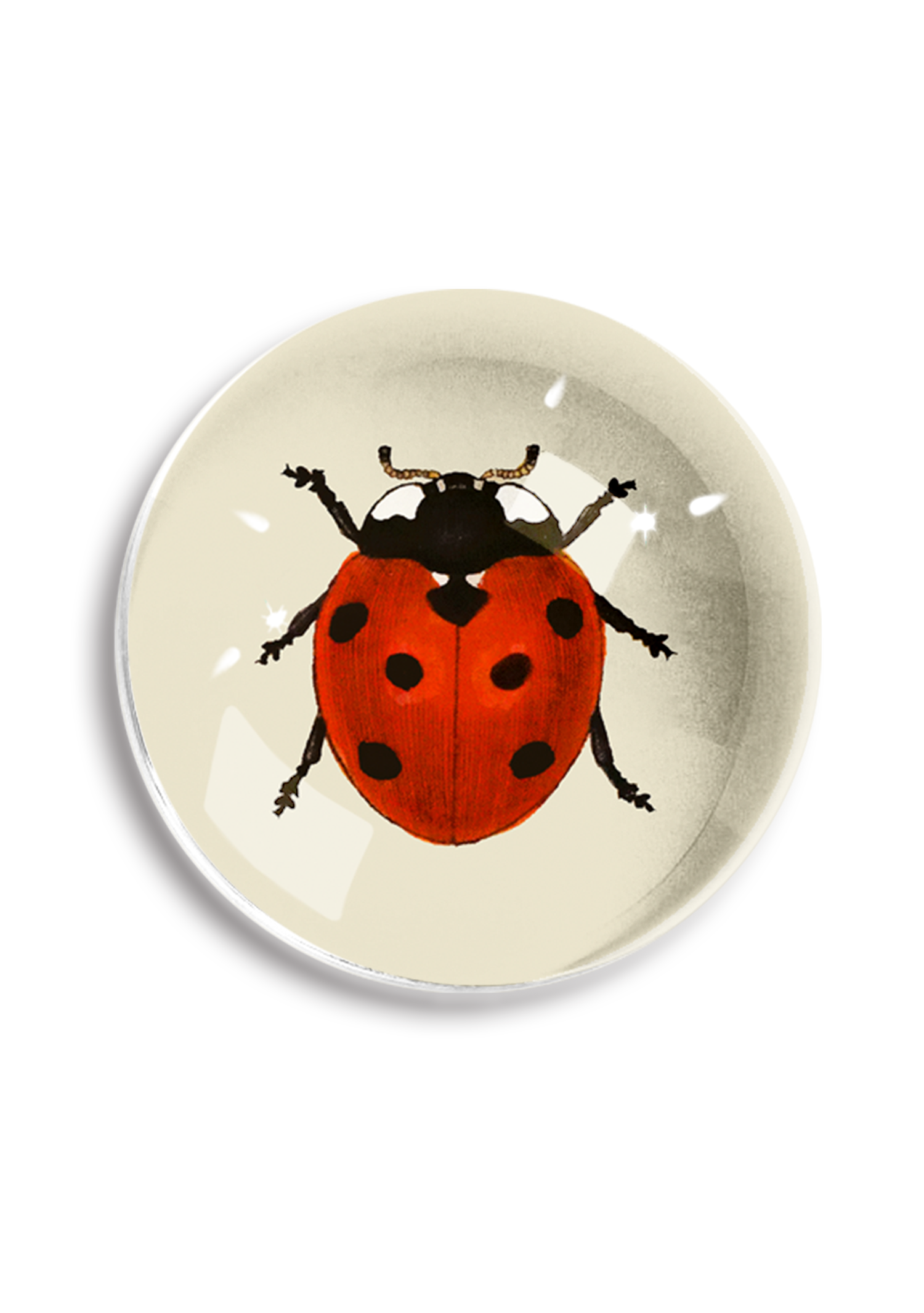 Red English Ladybug Crystal Dome Paperweight