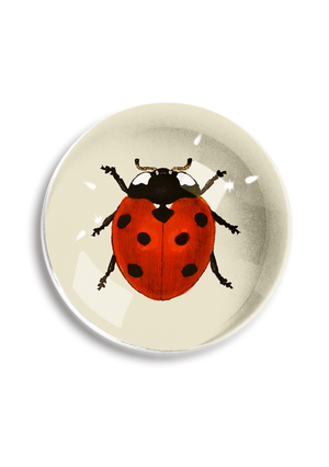 Red English Ladybug Crystal Dome Paperweight