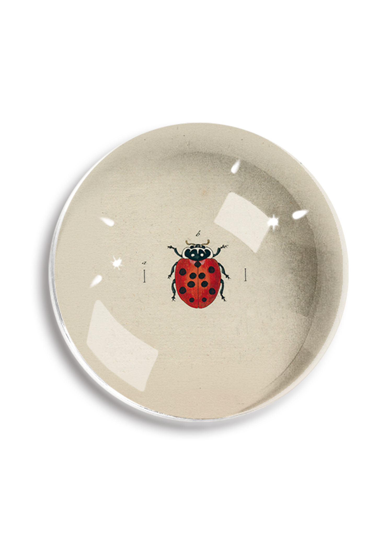 Argentinian Red Ladybug Crystal Dome Paperweight