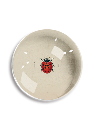 Argentinian Red Ladybug Crystal Dome Paperweight