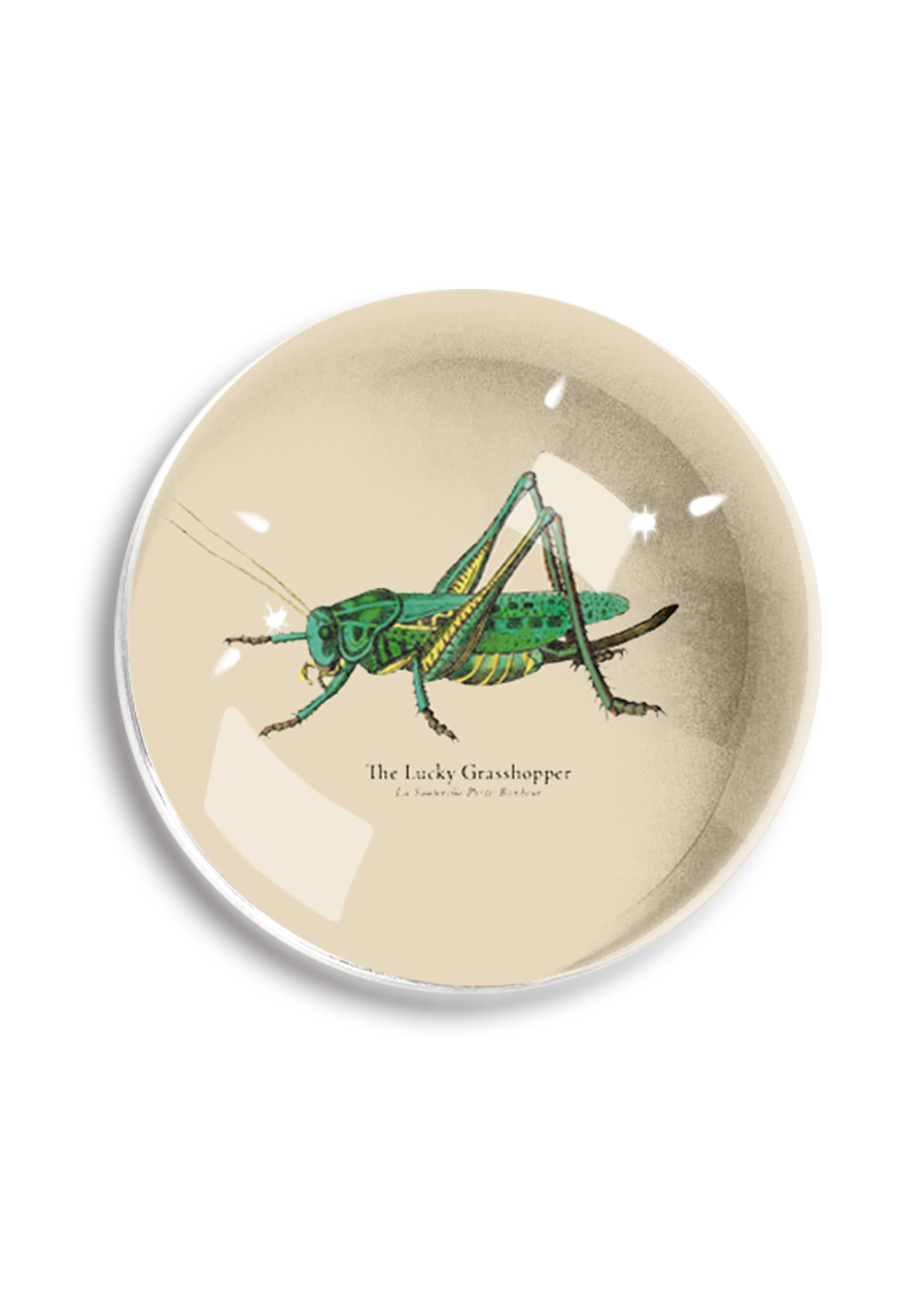 The Lucky Grasshopper Crystal Dome Paperweight