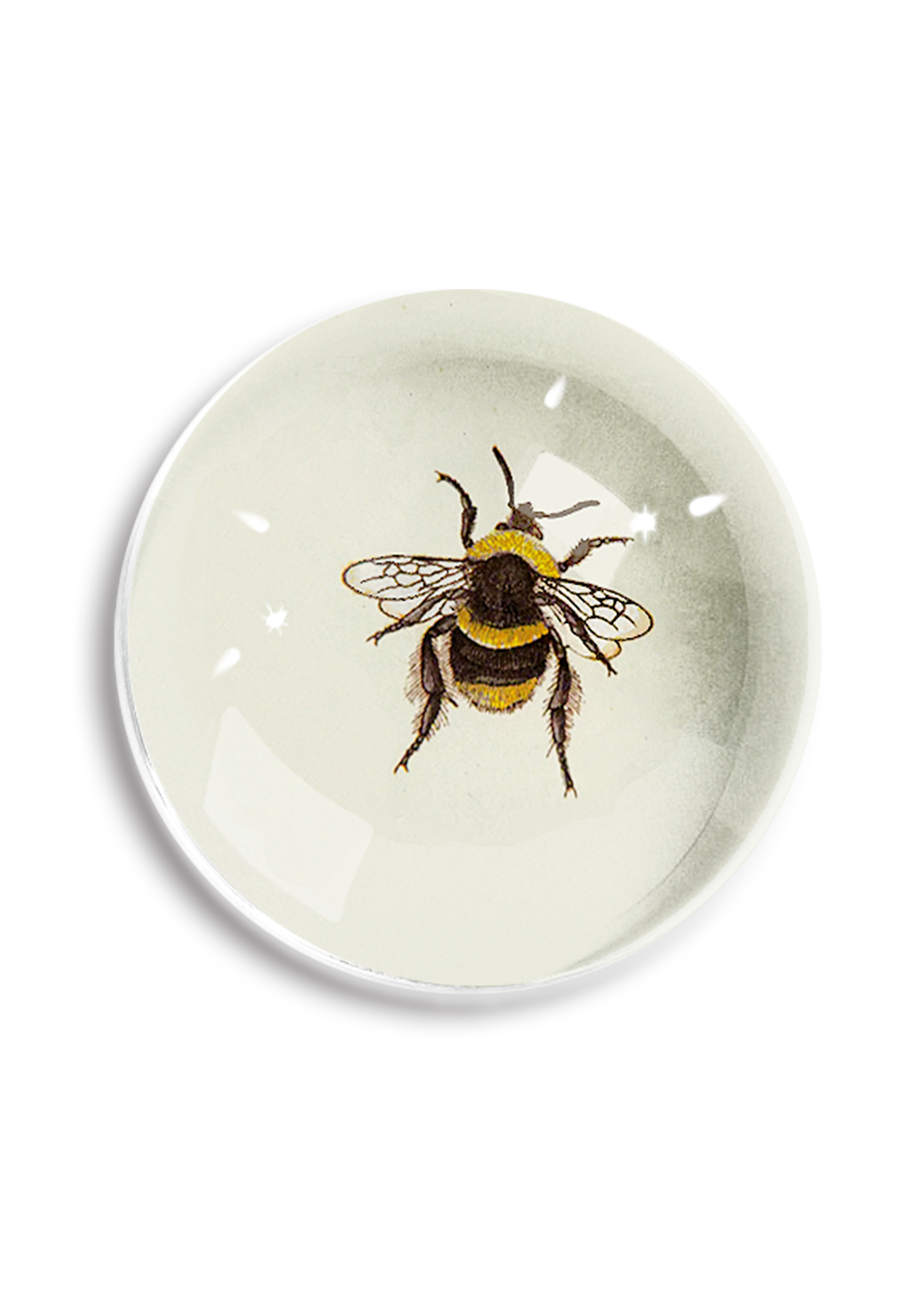 Honey Bee #1 Dome Paperweight