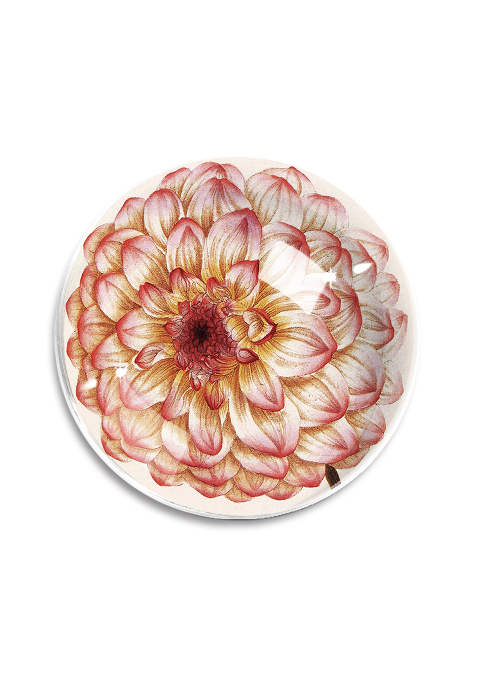 Bensgarden.com | Pink Dahlia Blossom French Crystal Dome Paperweight - Ben's Garden. Made in New York City.