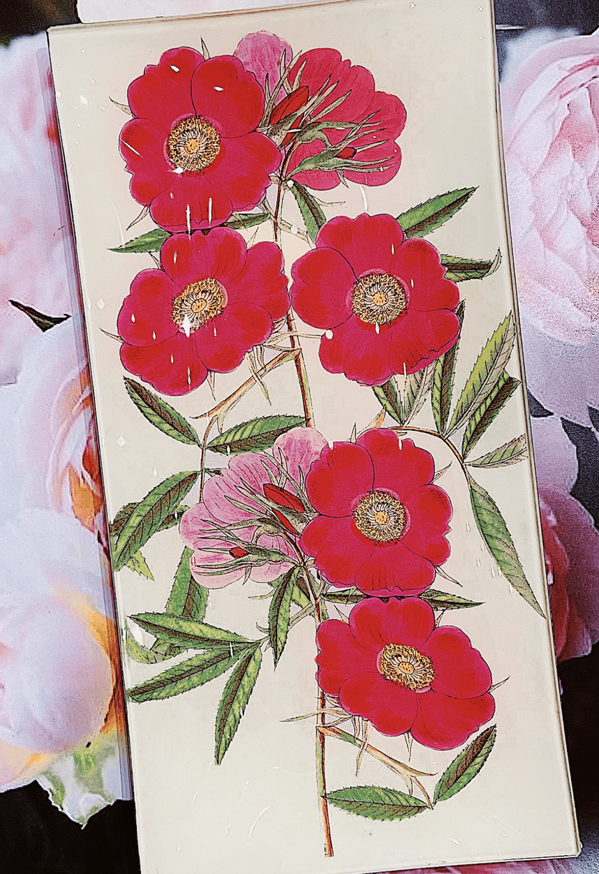 Pink Garden 5 Stem Roses Decoupage Glass Tray