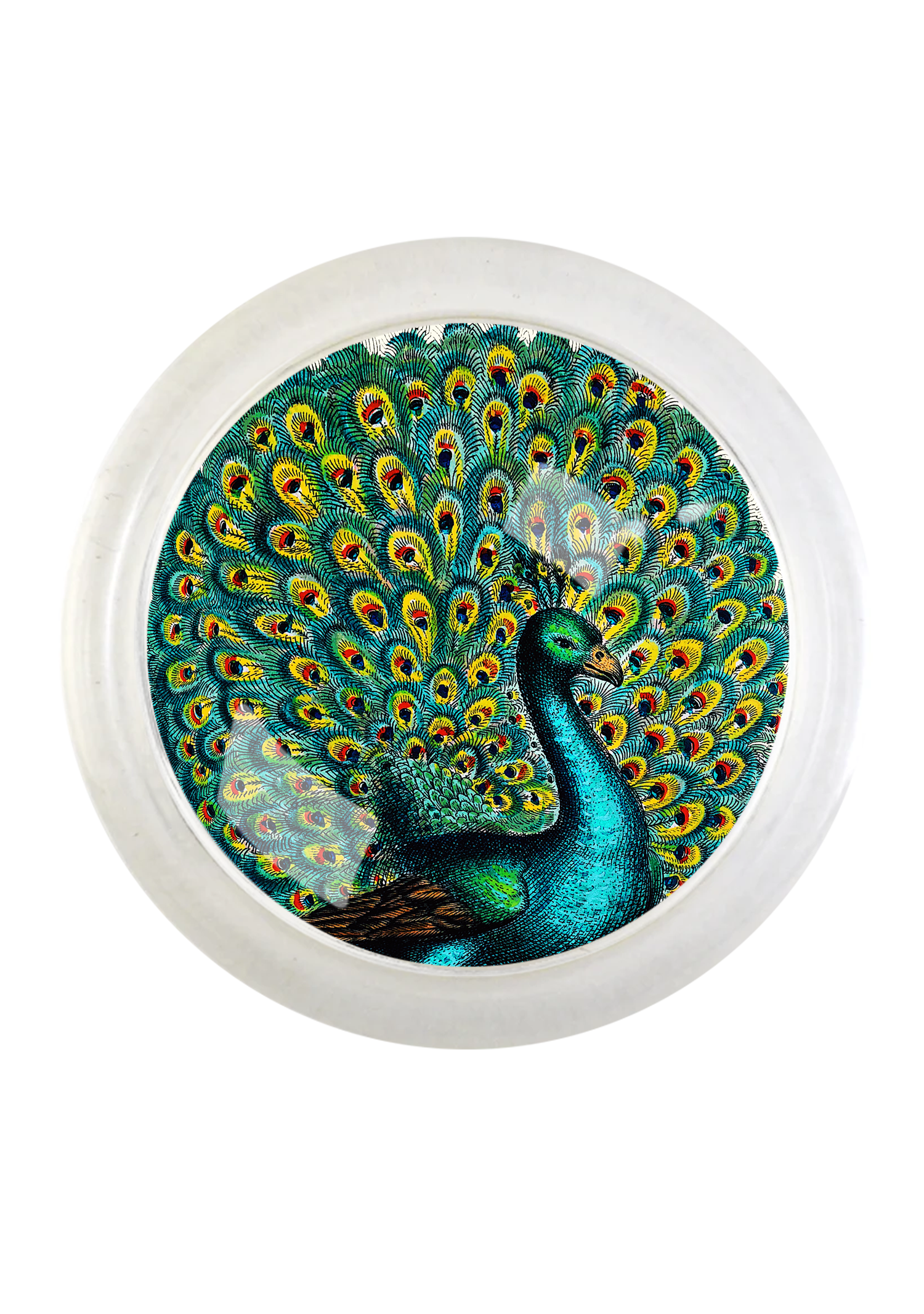 Proud Peacock 4" Round Glass Coaster