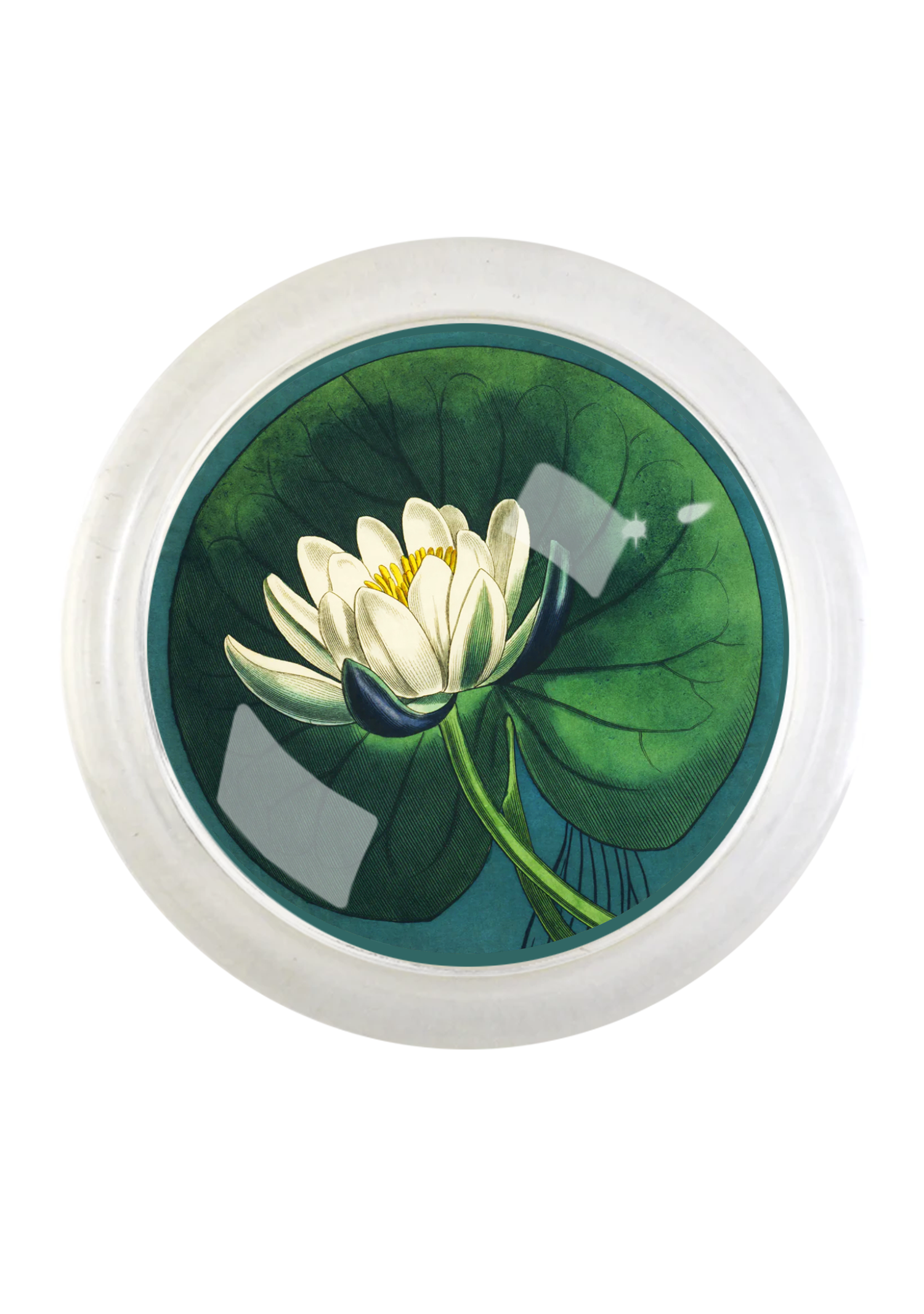 East Hampton Water Lily 4" Round Glass Coaster