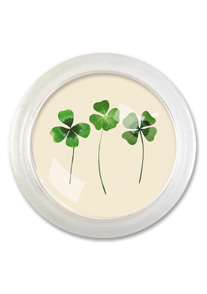 Lucky Clovers 4" Round Glass Coaster