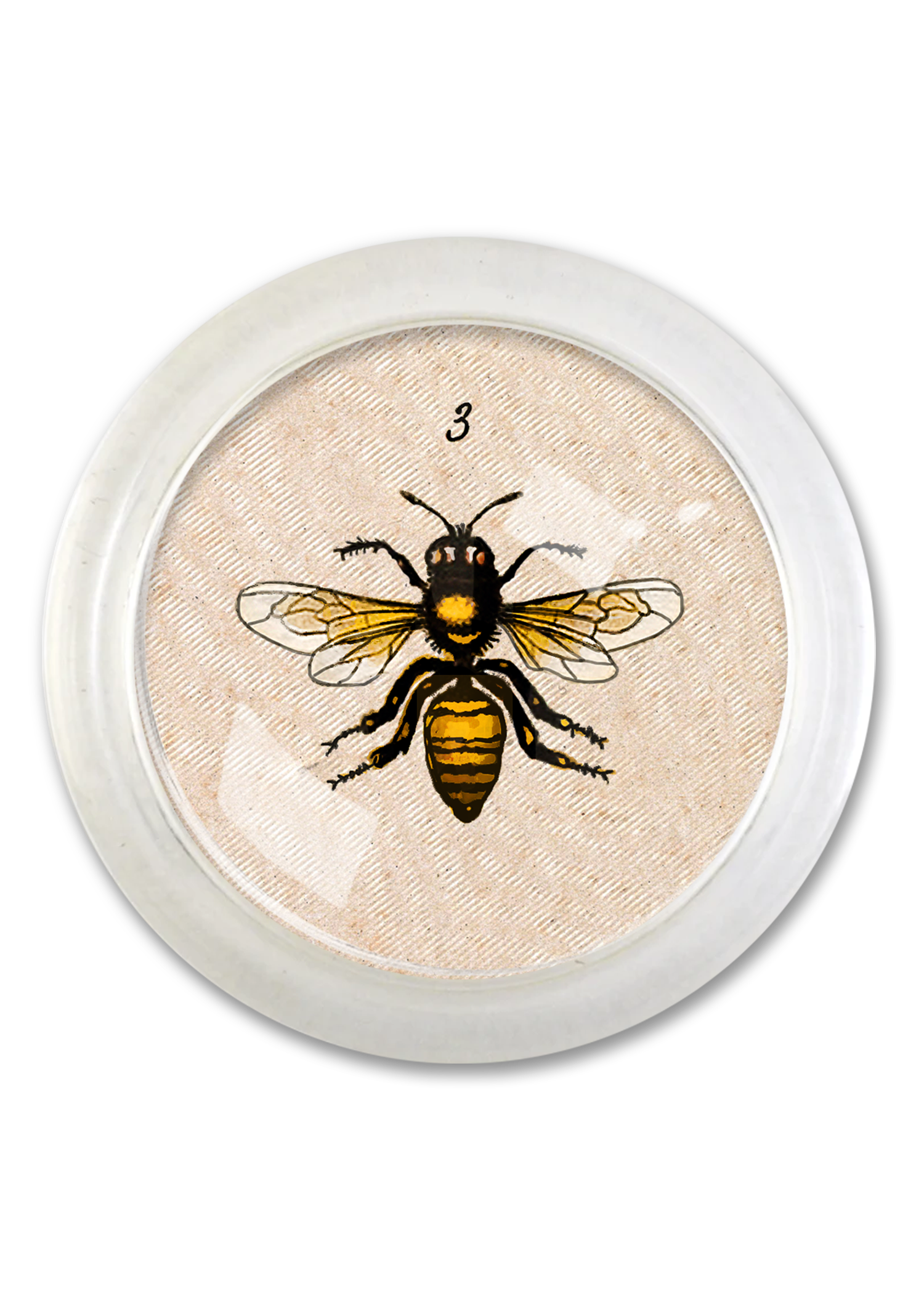 #3 Bee 4" Round Glass Coaster